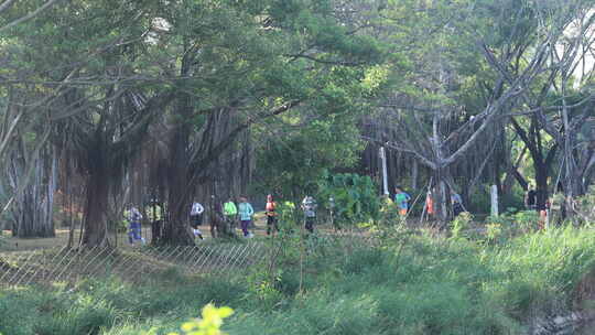 全民健身跑步运动