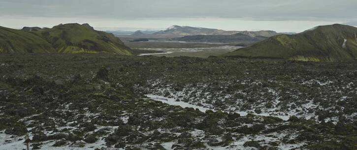 冰岛上的苔藓