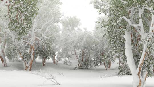 树林森林下雪空镜