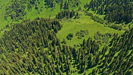 中国新疆伊犁那拉提草原自然风景视频素材模板下载
