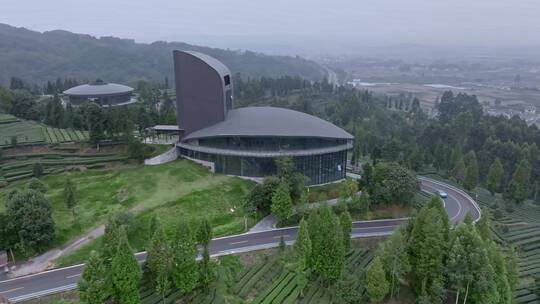 高清航拍四川茶山自然风光