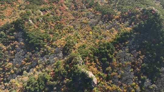 航拍辽宁千山色彩斑斓的秋景