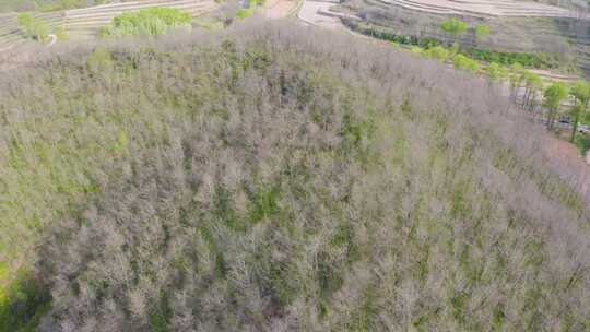 宝鸡梯田  汉封梯田