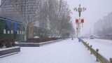 4k北方城市下大雪人行道上的外卖员高清在线视频素材下载