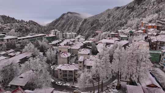 庐山牯岭镇雪景雾凇航拍