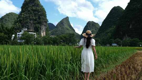 一位亚洲女性走在美丽的稻田里