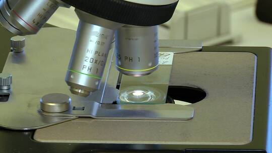 实验室显微镜.科学和保健研究病毒