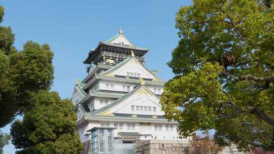 日本大阪，蓝天下绿树成荫的大阪城