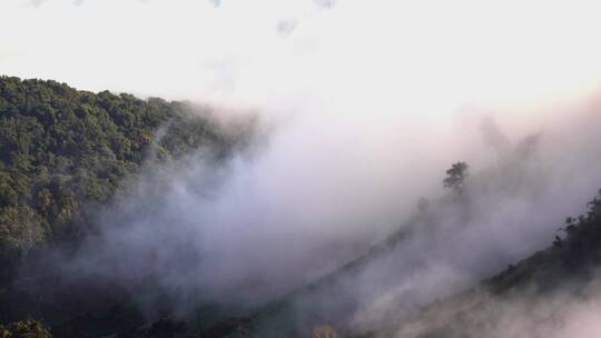 日出山间晨雾风光