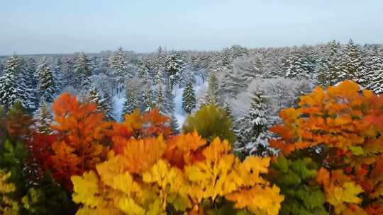 一年四季春夏秋冬四季变化变换入冬