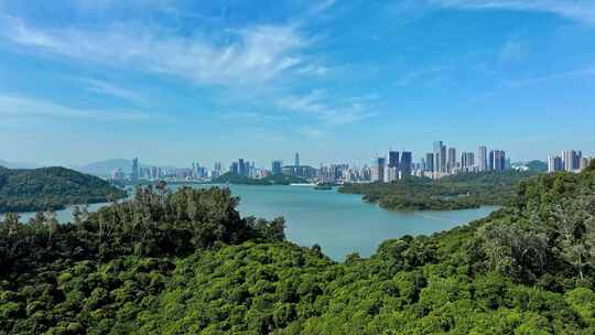 4K 深圳水库仙湖植物园55