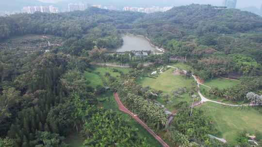 深圳福田区莲花山公园