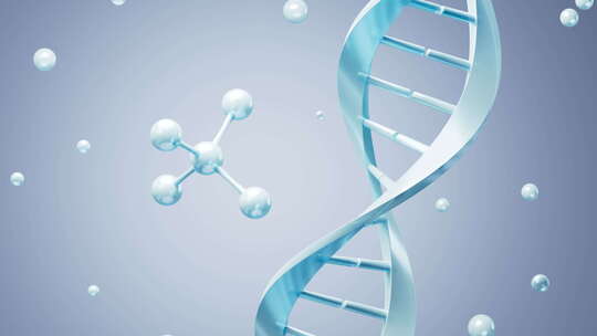 DNA 和分子结构