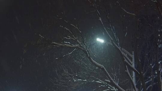 飘雪下的路灯