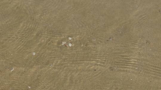 海浪冲刷下的沙滩和蛤蜊