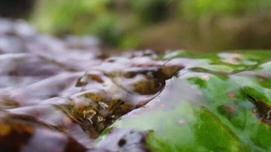 河边流水河流河水小溪山泉泉水水流唯美升格