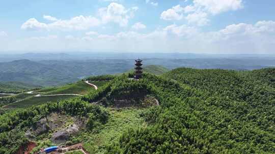 蓝天白云 航拍湖南衡阳蔡伦竹海 远山空镜