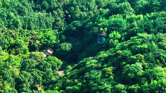 新昌大佛寺景区