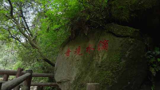 成都青城山后山峡谷森林步道溪流自然景观