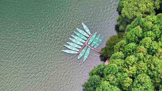 中国杭州西湖风景名胜区杨公堤