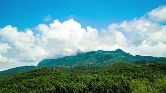 版纳风景 风景延时 原始森林