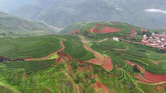 航拍云南昆明东川红土地·落霞沟右移运镜