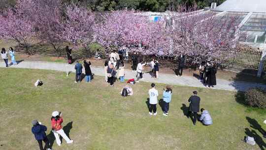 武汉大学校园航拍