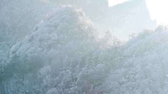 伏牛山冬季雪景云海雾凇