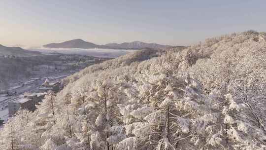 冰天雪地东北雾凇雪山