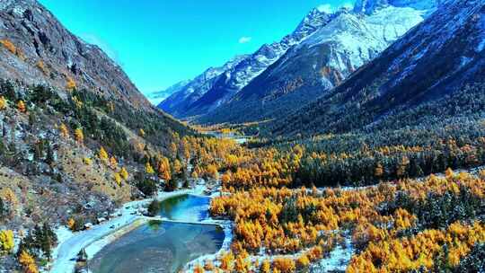 雪山下多彩树林与湖泊相映的美景