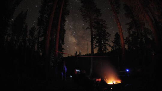 森林营地上空的星空延时
