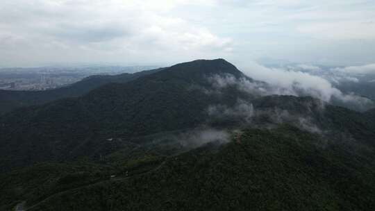 深圳阳台山森林国家公园云雾