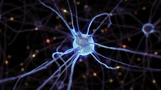 人体神经元运作视频素材模板下载