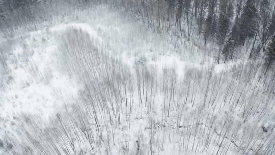 东北冬季大雪中的森林越野车行驶航拍