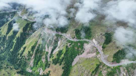 云雾盘山公路