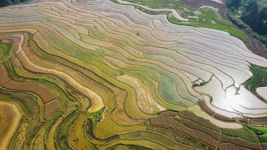 4k航拍重庆南川盐井梯田自然风景区