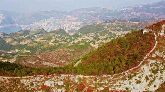 长江三峡巫峡红叶