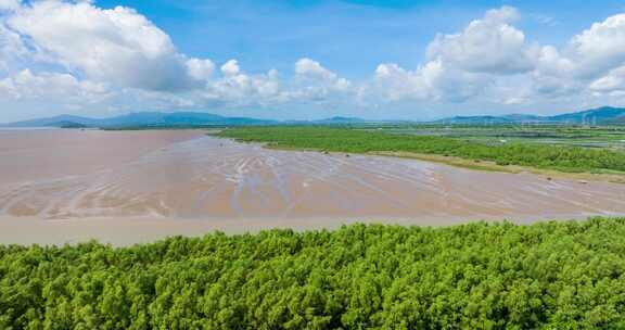 4k广东江门银湖湾湿地公园红树林航拍延时