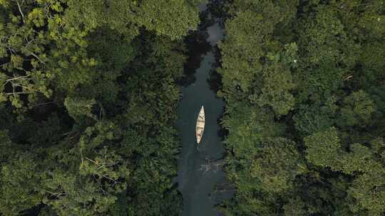 独木舟，雨林，亚马逊河，厄瓜多尔