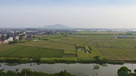 乡村生活,优美的自然风景