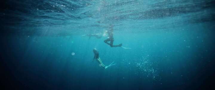 海洋，浮潜，海洋，水下