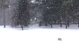 航拍特写被大雪覆盖的森林鹅毛大雪雾凇高清在线视频素材下载