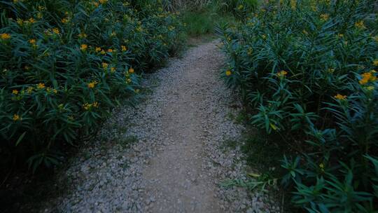 百草园荒郊野外