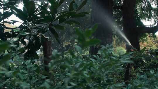 洒水器在有长凳的公园里给植物浇水