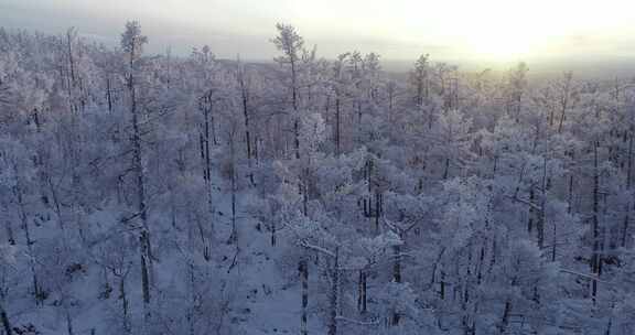 航拍大兴安岭冰雪雾凇、雪凇