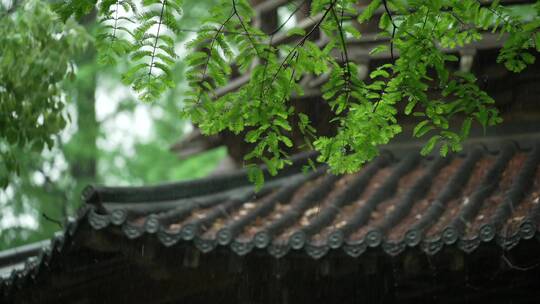 184 杭州 风景 古建筑 下雨天 亭子 屋檐
