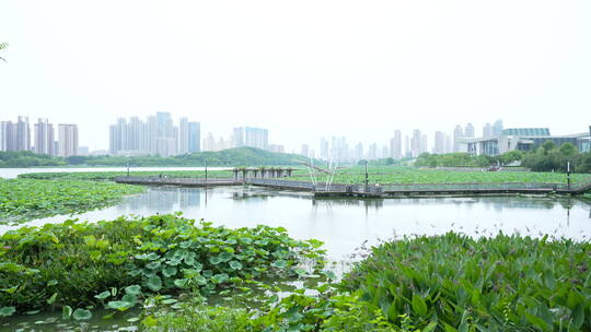 武汉龟山月湖风景区