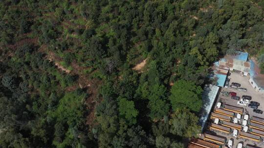 航拍深圳城市生态绿化