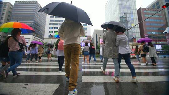 雨中打着伞过马路的人视频素材模板下载