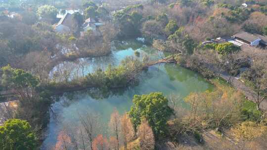 杭州景区西溪湿地美景风景视频素材